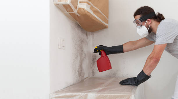 Professional Mold Remediation technician working in Somerville, TX
