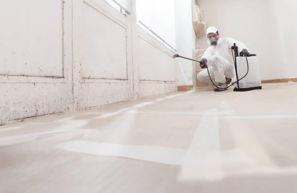 24/7 Emergency Mold Remediation experts in Somerville, TX